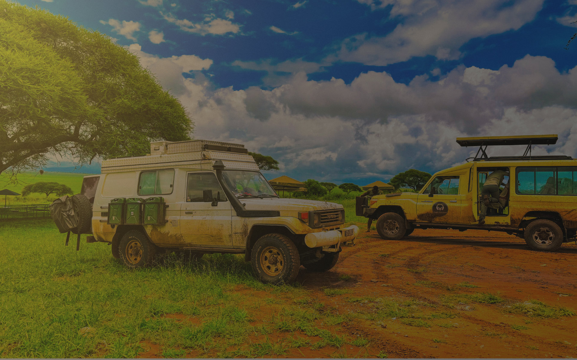 Two Eagle Overland Land Cruisers parked beside acacia trees in Tanzania