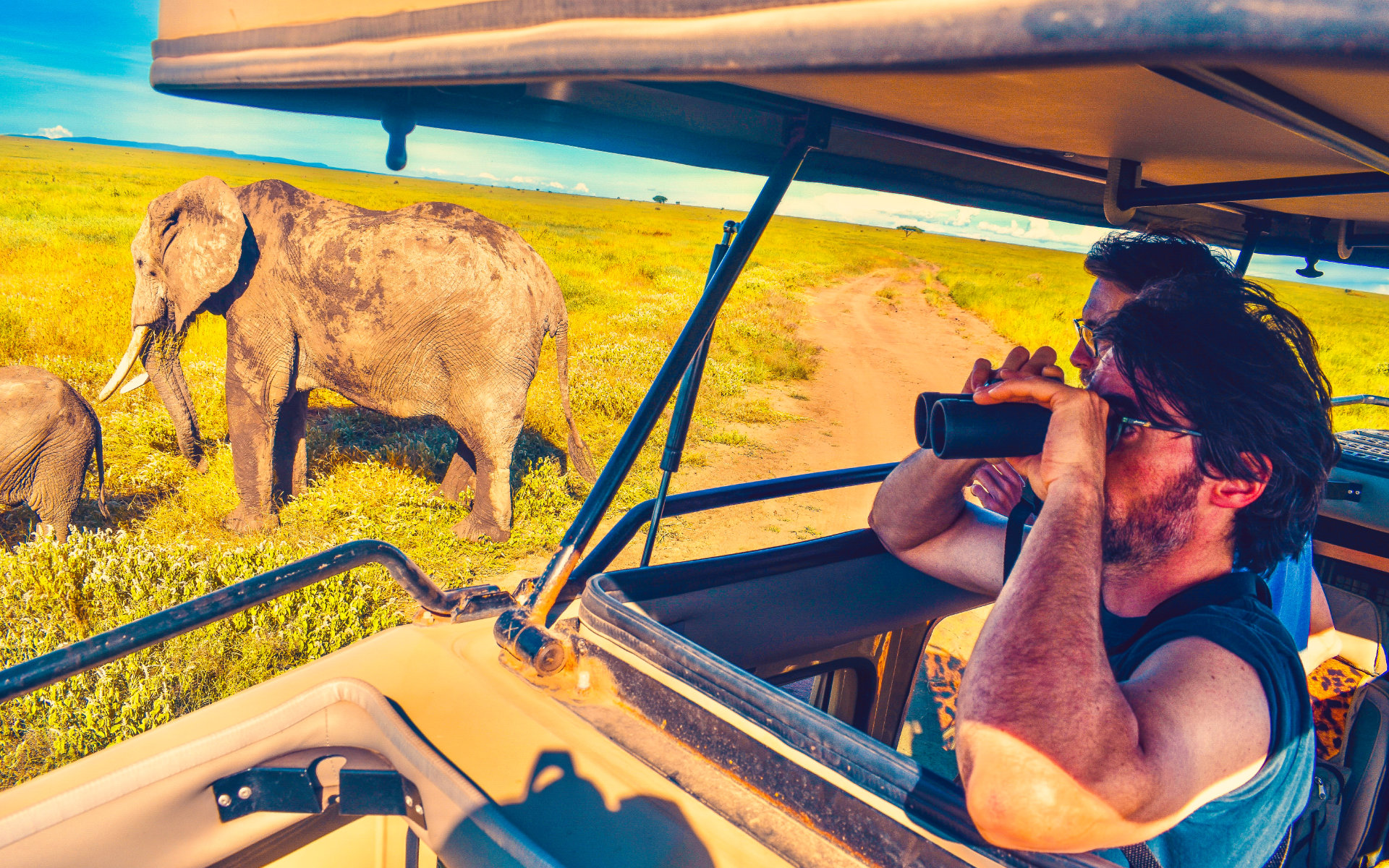 Land Cruiser wildlife viewing thumbnail